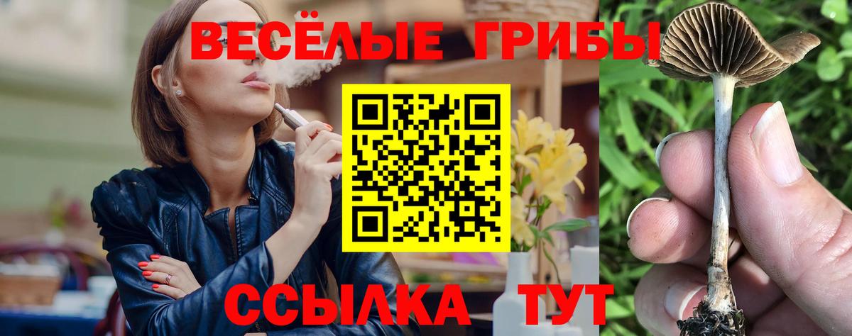 Зерноград  Галлюциногенные грибы ЛСД  Вход с VPN 
